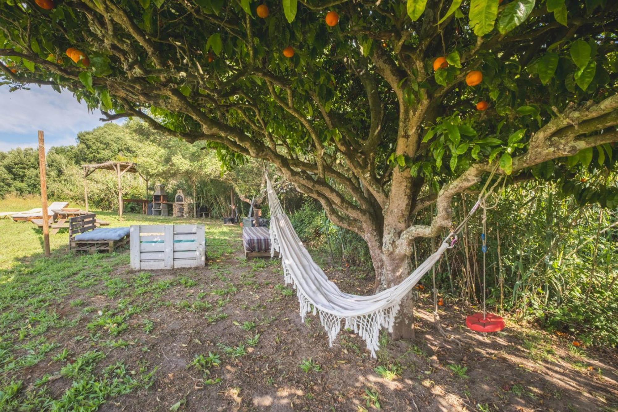 Ruralcamomo Holiday home Barbate