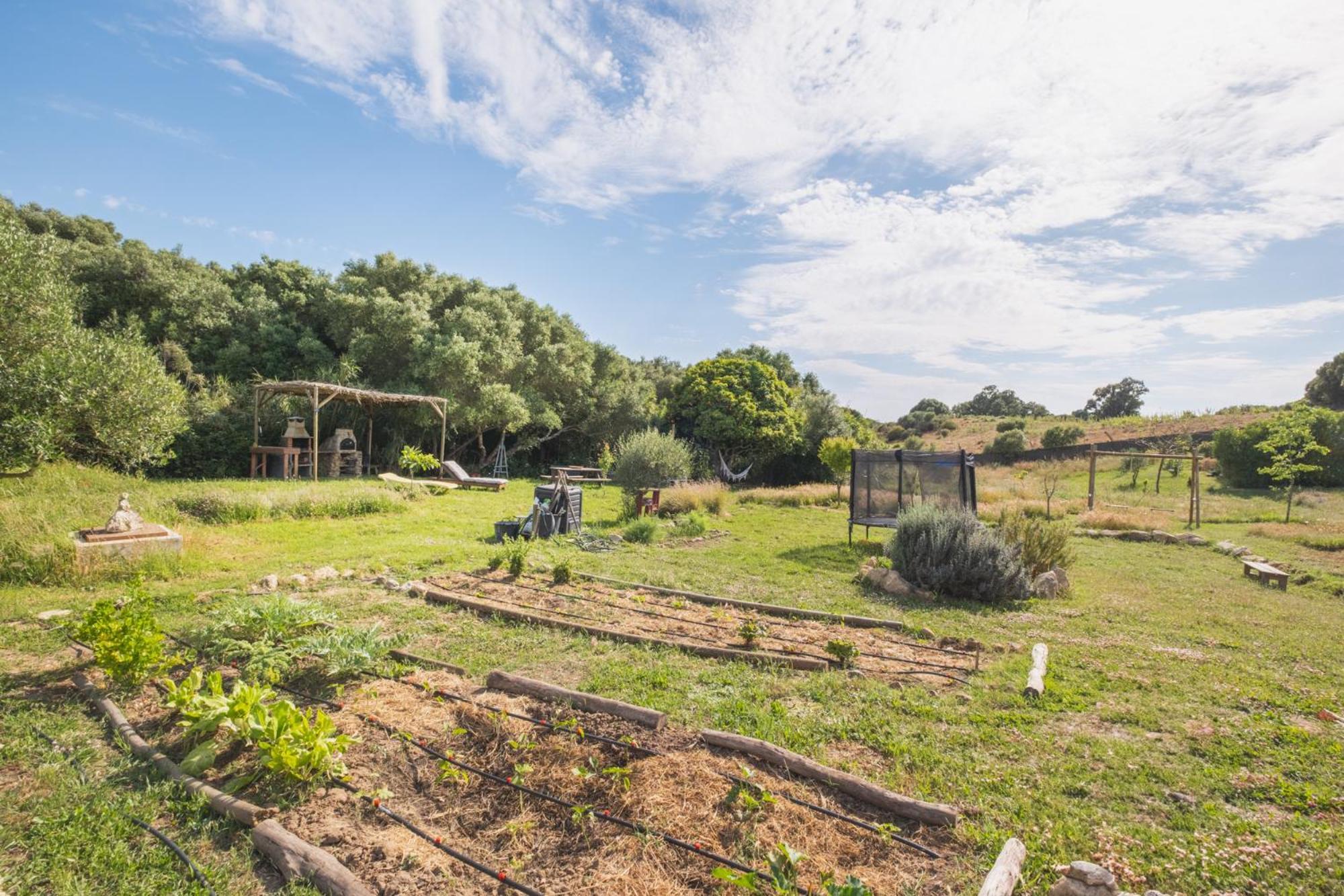 Ruralcamomo Barbate