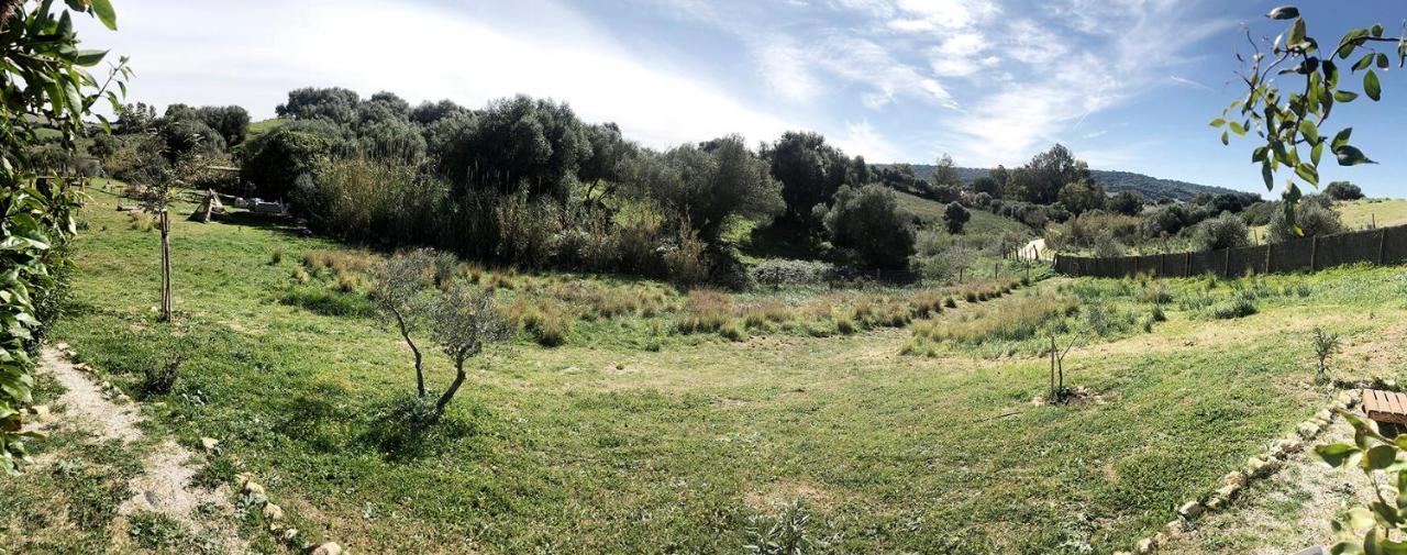 Dom wakacyjny Ruralcamomo