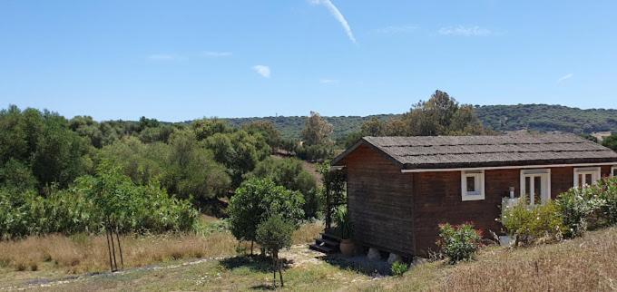 Dom wakacyjny Ruralcamomo *