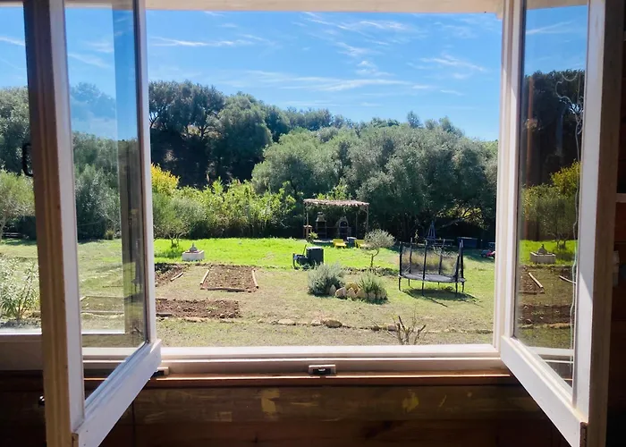 Ruralcamomo