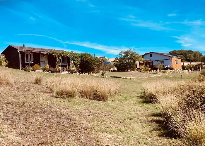 Ruralcamomo